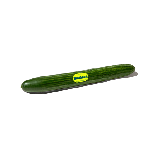 English Cucumber